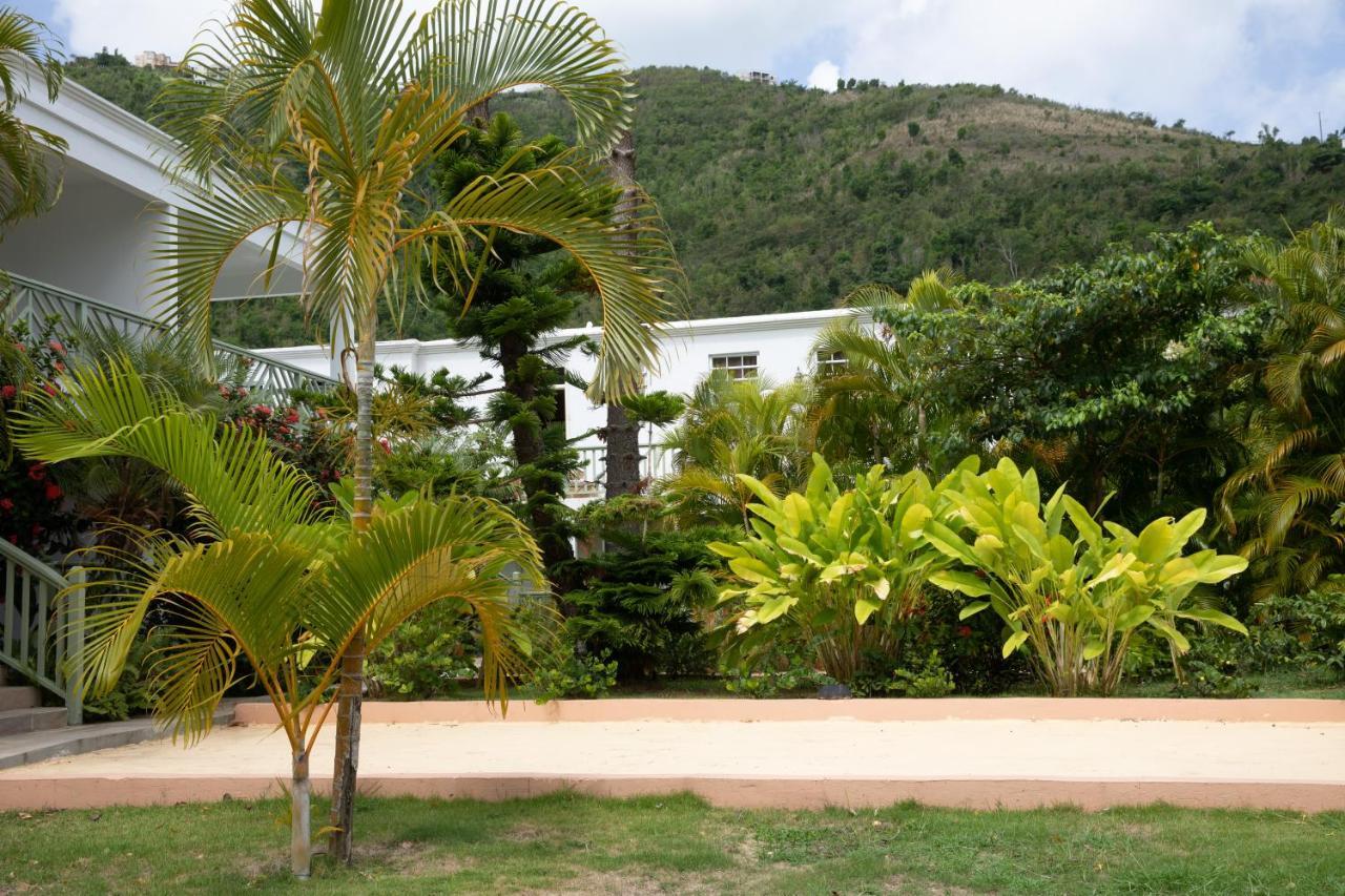 Icis Villas Brewers Bay 外观 照片
